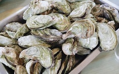 亚洲欧美一区二区成人片